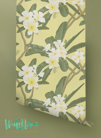 Plumeria Wallpaper | Removable Wallpaper | Hawaiian Wallpaper | Hibiscus Wall Sticker | Plumeria Wall Decal | Hibiscus Adhesive Wallpaper