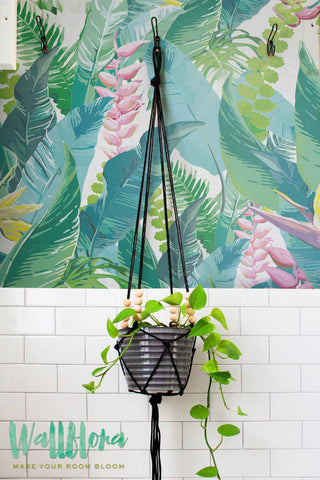Calathea Leaves Pattern Wallpaper | Removable Wallpaper - Calathea Wallpaper - Wall Sticker - Calathea leaves Self Adhesive Wallpaper